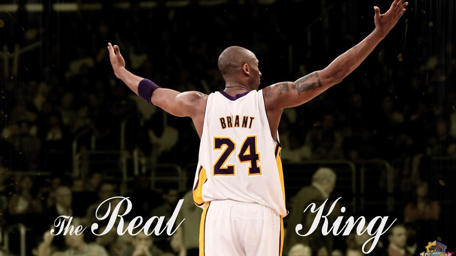 综合体育系女子排球邀请赛 四校联队鏖战三天决出冠军