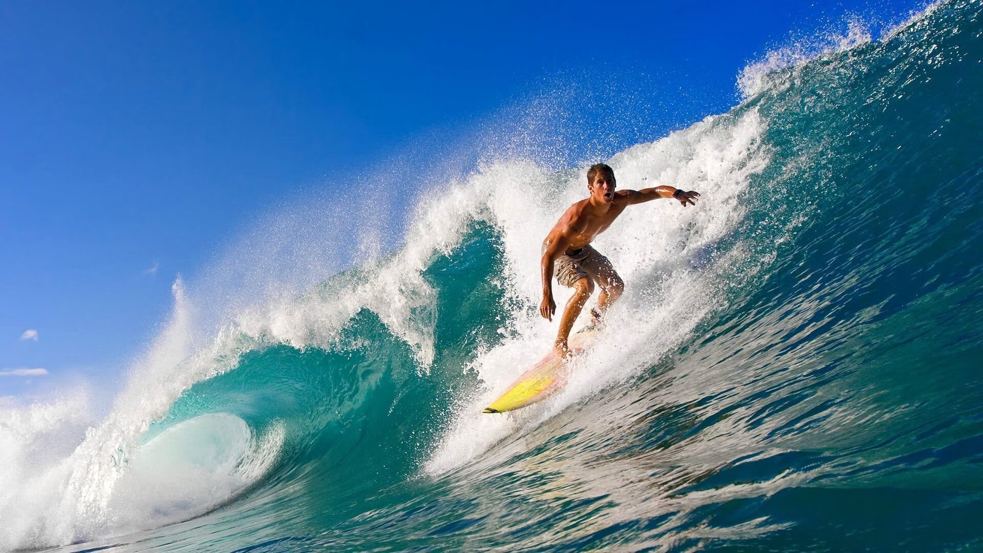马术趣味障碍赛 低高度与彩色障碍为青少年而设